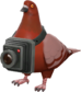Painted Bird's Eye Viewer 803020.png
