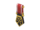 Vigilant Pin