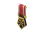 Vigilant Pin