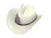 http://wiki.teamfortress.com/w/images/thumb/1/15/Item_icon_Texas_Ten_Gallon.png/75px-Item_icon_Texas_Ten_Gallon.png