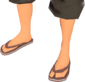Painted Flip-Flops 654740.png