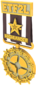 Unused Painted Tournament Medal - ETF2L Highlander 483838 Season 6-16 Group Winner.png