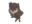 Sir Hootsalot