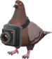 Painted Bird's Eye Viewer 654740.png