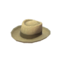 Backpack Professional's Panama.png