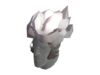 Einstein