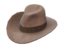 Item icon Hat With No Name.png