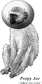 Joegopoopy.png