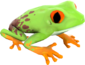 Painted Croaking Hazard E9967A.png