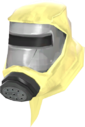 Painted HazMat Headcase F0E68C A Serious Absence of Fear.png