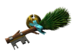 Item icon Nice Winter Crate Key 2012.png