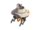 RoBro 3000
