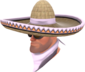 Painted Wide-Brimmed Bandito D8BED8.png
