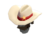 Lone Star