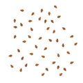 Frontline birch groundleaves 1 scatter.png