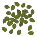 Frontline groundleaves 2.png