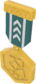 Painted Tournament Medal - TF2Connexion 2F4F4F.png