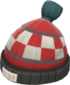 Painted Boarder's Beanie 2F4F4F Brand Engineer.png