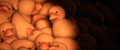 End of The Line - SFM Ducks.png