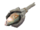 Holy Mackerel