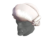 Item icon Magistrate's Mullet.png