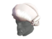 Magistrate's Mullet