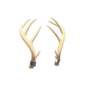 Backpack Exquisite Rack.png