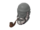 Bearded Bombardier
