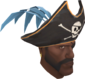 Painted Buccaneer's Bicorne 5885A2.png