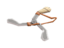Wingstick