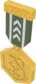 Painted Tournament Medal - TF2Connexion 424F3B.png