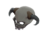 Spine-Cooling Skull