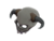 Item icon Spine-Cooling Skull.png