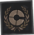 Unranked badge.png