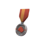 Backpack Tournament Medal - NHBL Finals 2nd Place.png