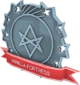 Unused Painted Tournament Medal - South American Vanilla Fortress B8383B Participant.png