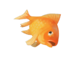 Goldfish