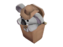 Koala Compact