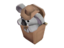 Koala Compact