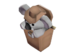 Koala Compact