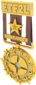Unused Painted Tournament Medal - ETF2L Highlander 654740 Season 6-16 Group Winner.png