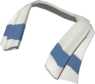BLU Toss-Proof Towel.png