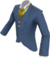 Painted Aristocravat 808000 BLU.png