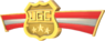 RED Tournament Medal - UGC 4vs4 Winged Medal Gold.png