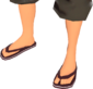 Painted Flip-Flops 3B1F23.png