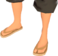 Painted Flip-Flops A57545.png