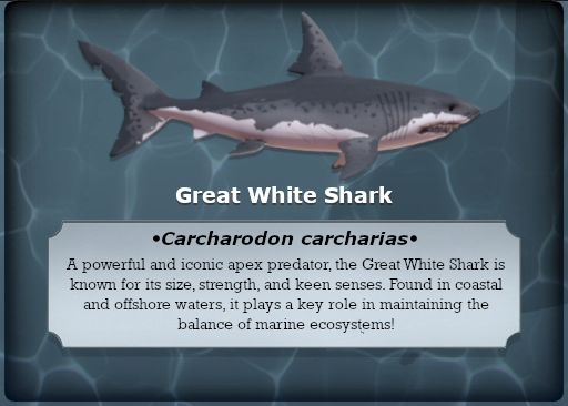 File:Pressure aquarium plaque great white.png