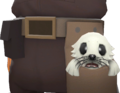 Clubsy The Seal Scared.png