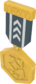 Painted Tournament Medal - TF2Connexion 384248.png