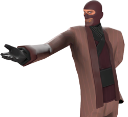 Rogue's Robe - Official TF2 Wiki | Official Team Fortress Wiki